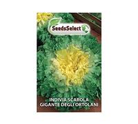 SeedsSelect Semi Indivia scarola Gigante degli ortolani (2 bustine)