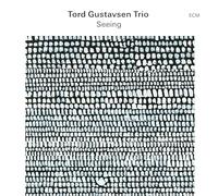 Tord Gustavsen Trio Seeing (CD) Album