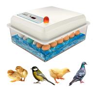 Seeiswork 20 Uova Incubatrice Tornitura Da Cova Allevatrice Fattoria Uccello Quaglia Pollo Allevamento di Pollame Hatcher Turner Strumento di Incubazione 20 Eggs