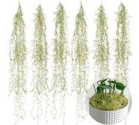 SEEKO Succulents Extra Large Spanish Moss (6pck, 6oz, 33" Long) - Fake Moss for Crafts