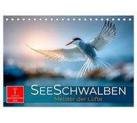 Seeschwalben - Meister der Lüfte (Tischkalender 2026 DIN A5 quer), CALVENDO Monatskalender: Zwischen Himmel und Meer - wild und frei.
