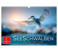 Seeschwalben - Meister der Lüfte (Wandkalender 2026 DIN A3 quer), CALVENDO Monatskalender: Zwischen Himmel und Meer - wild und frei.