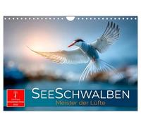 Seeschwalben - Meister der Lüfte (Wandkalender 2026 DIN A4 quer), CALVENDO Monatskalender: Zwischen Himmel und Meer - wild und frei.