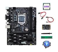 Sefdrert B250 V2.1 ETH Miner Scheda Madre 12PCIE+G4900 CPU+DDR4 4GB RAM+128G MSATA SSD+Fan+ SATA+ Interruttore+Grasso Termico