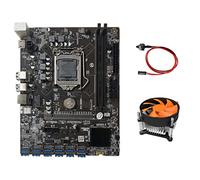 Sefdrert BTC B250C Scheda madre mineraria con ventola di raffreddamento+ interruttore 12 PCIE a USB3.0 Slot per scheda grafica LGA1151 Supporta DDR4