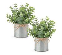 Sefdrert Farmhouse Galvanized Pentole con Mini Finto Eucalipto 2 Pacchi di Piccole Piante Finte per Centrotavola da Tavolo da Interno