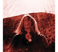 Segall Ty - Manipulator