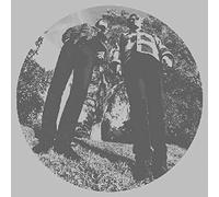 Segall Ty White Fence - Hair