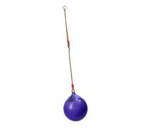 Seggiolino a Sfera con Corda Resistente per Adulti Palestre Accessori Da Cortile