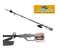 Seghetto Potatore su asta telescopica LISAM SKYTRONIC con 2 batterie 21 V 4 Ah