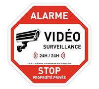 Segnaletica stradale in metallo, allarme video, accesso vietato, proprietà privata, attenzione cane, divieto di, sosta, svolta, avviso in latta(137)