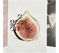 Segnalibri a forma di frutta, unici e alla moda, carini, creativi, divertenti, in acrilico trasparente, per studenti che leggono libri e per gli amanti della fotografia (#12, 2 pezzi)