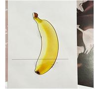 Segnalibri a forma di frutta, unici ed eleganti, carini, creativi, divertenti, in acrilico trasparente, per studenti che leggono libri e per gli amanti della fotografia (#1, 4 pezzi)