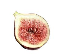 Segnalibro a forma di frutta in acrilico, trasparente, 12 g, per amanti dei libri, insegnanti, studenti, donne, uomini, adulti, biblioteca, scuola, camera da , viaggi, lettura, studio, diario e