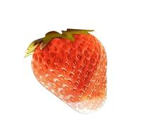 Segnalibro a forma di frutta, leggere, realistiche per la classe, simpatici segnalibri con frutta, per bambini, adulti, insegnanti, appassionati di lettura, ritorno a scuola, laurea, casa