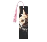 Segnalibro in metallo per uomini e donne che fanno un pisolino con gattino, segnalibri unici fatti a mano con nappa ciondolo segnalibro in metallo per insegnanti regalo di compleanno