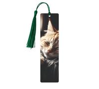 Segnalibro in metallo per uomini e donne che fanno un pisolino con gattino, segnalibri unici fatti a mano con nappa ciondolo segnalibro in metallo per insegnanti regalo di compleanno