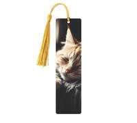 Segnalibro in metallo per uomini e donne che fanno un pisolino con gattino, segnalibri unici fatti a mano con nappa ciondolo segnalibro in metallo per insegnanti regalo di compleanno