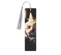 Segnalibro in metallo per uomini e donne che fanno un pisolino con gattino, segnalibri unici fatti a mano con nappa ciondolo segnalibro in metallo per insegnanti regalo di compleanno