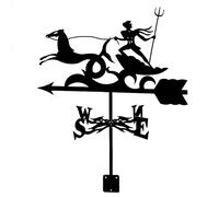 Segnavento in metallo Meteo Ferro Retro Farm Scene Garden Palo Strumenti di misurazione Professionali Indicatore di direzione in acciaio inossidabile Decoion-Warrior