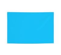 Segni personalizzati in poliestere per banner blu chiaro tinta unita - Durevole facile da appendere per feste, lauree, compleanni