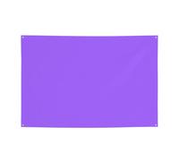 Segni personalizzati in poliestere viola chiaro tinta unita - Durevole facile da appendere per feste, lauree, compleanni