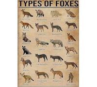 Segni Targa in Metallo Types of Foxes Knowledge Retro Hunting,Targhe in Metallo Posters,Decorazione,Garage,Segno Plaque,Bagno M