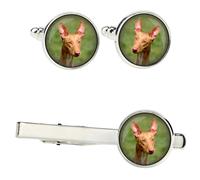 Segugio Faraone set di mollette in una scatola con immagine Art-Dog