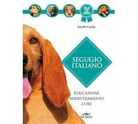 Segugio italiano