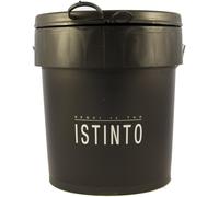 SEGUI IL TUO ISTINTO GIORGIO GRAESAN