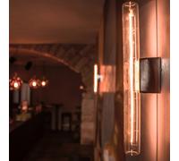 Segula Xtra Line applique S14d oro Segula