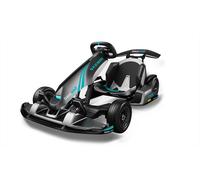 GOKART NINEBOT PRO 2
