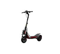 Segway - Monopattino Elettrico Ninebot Zt3 Pro I-nero, Grigio E Rosso SEGWAY