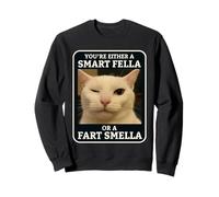 Sei o Un Ragazzo Intelligente o Un Gatto Divertente Meme Smella Fart Felpa
