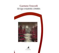 Sei qui a rubare l'ombra