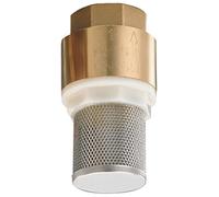 SEI Valvola universale a stelo in ottone da 2-1/2"