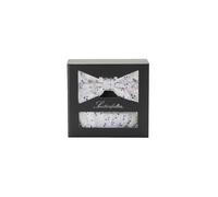 SEIDENFALTER Set cravatta a farfalla e fazzoletto da taschino beige