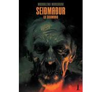 Seidmadur. Lo sciamano