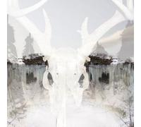 Seidr For Winter Fire (CD)