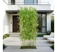 SEIFE Bambù Artificiale 100-200cm, Piante Finte da Interno ed Esterno con Canne Naturali, Realistico Separè Divisorio per Casa, Giardino, Ufficio, Decorazione Parete Privacy(20 bamboos,1.5m/4.9ft)