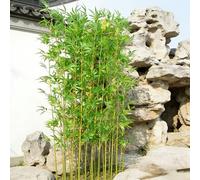 SEIFE Siepe di Bambù Artificiale 100-200cm, Pianta Finta Resistente UV per Esterno, Divisorio Protezione Visiva per Ristorante, Terrazza, Patio(20 bamboos,1.5m/4.9ft)