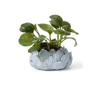 SEINHIJO Ceramica Vaso per Fiori Succulento Regali Statuetta Fiori Scultura Figurina Animale Statua Moderna Decorazione Arte Casa Ornamento Soprammobili Blu 15cm