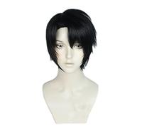SEIZIS 2022 Cos Wig Parrucca Anime Motosega Uomo Cosplay Kishibe Parrucca, Parrucca Corta Nera, Parrucca Costume Halloween, for Halloween, Festa in Costume, Spettacolo Anime, Evento Cosplay, Concerti