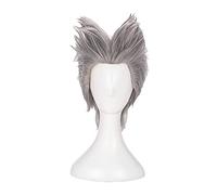 SEIZIS 2022 Cos Wig Parrucca Cosplay for One Punch-Man Garou Capelli Sintetici Resistenti al Calore Ricci Grigi Misti Misti