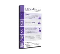 Seizure First Aid Knowledge Guide Canvas Wall Art Print for Home Living Room Bedroom Emergency Preparedness Decor(Unframed,16X24inch(40X60cm))