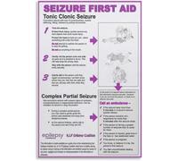 Seizure Response Chart Stay Calm Clear Area Note Duration Wall Decor | Step by step emergency actions for tonic clonic absence focal seizure types(Framed,12X18inch(30X45cm))