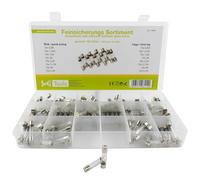 SeKi Fusibile fine da 160 pezzi, 6 x 30, assortimento da 160 pezzi, 16 tipi; 8 fusibili Flink + 8 barre da 0,8 A, 1,25 A, 1,6 A, 2 A, 2,5 A, 3,15 A, 4 A e 6,3 A; fusibile per tubo in vetro; fusibile