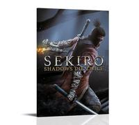 Sekiro Shadows The Twice Canvas Poster Decorazione Pittura Soggiorno Murale Arte Murale Camera da Letto Pittura Arte Pittura Moderna Home Boy Camera Stampa Pittura Bambina Vacanze Murale 20x30inch (5
