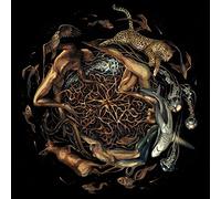 Selcouth - Heart Is The Star Of Chaos