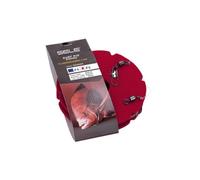 Sele Terminale Pronto da Surf Casting con ami Numero 5 Realizzato in fluorocarbon